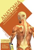 Anatomia humana básica