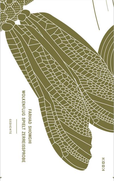 Wolkenflug spielt Zerreißprobe: Gedichte (Reihe Lyrik)