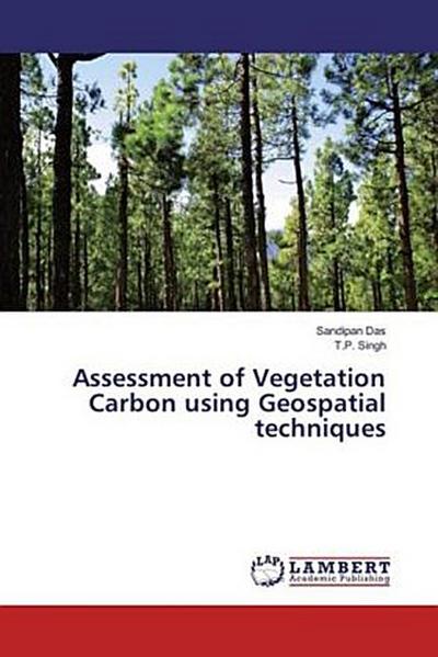 Assessment of Vegetation Carbon using Geospatial techniques