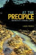 At the Precipice