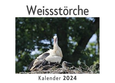 Weissstörche (Wandkalender 2024, Kalender DIN A4 quer, Monatskalender im Querformat mit Kalendarium, Das perfekte Geschenk)