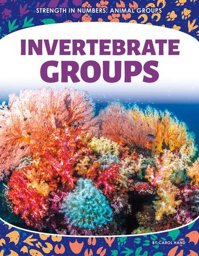 Invertebrate Groups