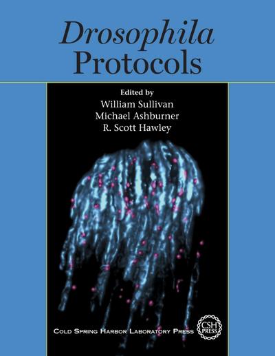 Drosophila Protocols