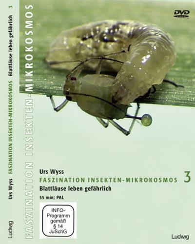 Faszination Insekten-Mikrokosmos 3 Blattläuse leben gefährlich. Tl.3