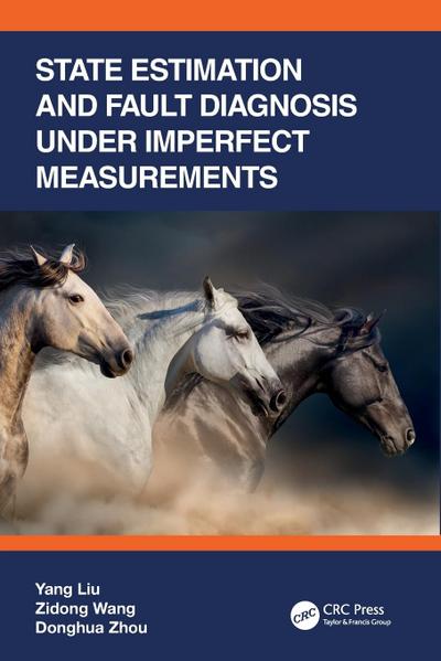 State Estimation and Fault Diagnosis under Imperfect Measurements