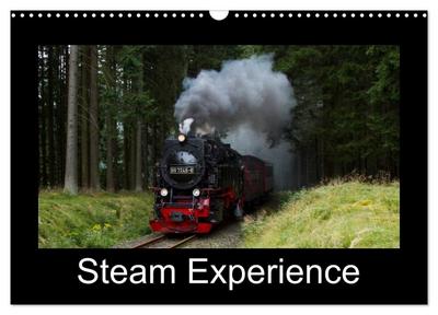 Steam Experience (Wall Calendar 2026 DIN A3 landscape), CALVENDO 12 Month Wall Calendar