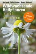 Wildwachsende Heilpflanzen einfach bestimmen - eBook