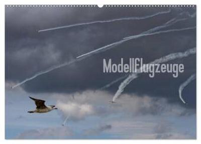 Modellflugzeuge Nr. 1 / 2026 (Wandkalender 2026 DIN A2 quer), CALVENDO Monatskalender