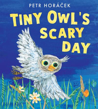 Tiny Owl’s Scary Day