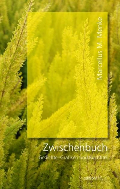Zwischenbuch