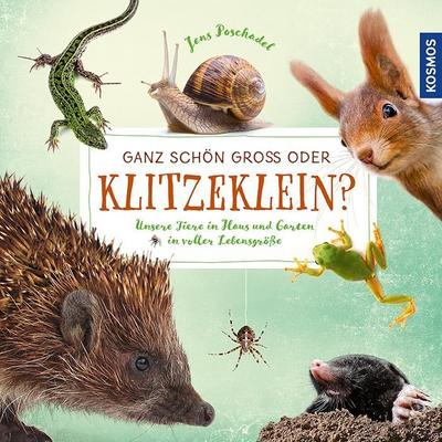 Ganz schön groß oder klitzeklein?