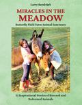 Miracles in the Meadow