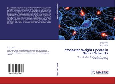 Stochastic Weight Update in Neural Networks