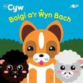 Cyfres Cyw: Bolgi a’r Wyn Bach