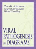 Viral Pathogenesis in Diagrams