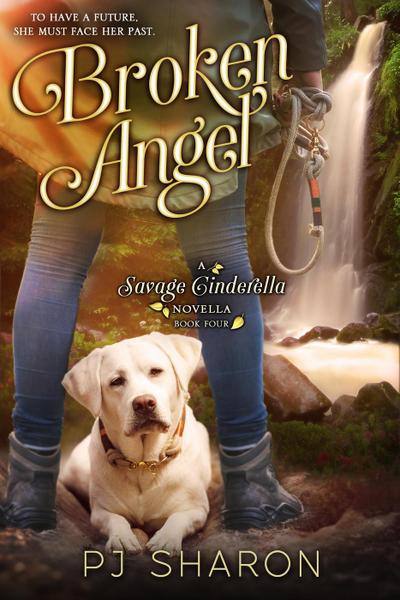 Broken Angel (Savage Cinderella Novella Series, #4)