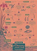 The Freshwater name trail