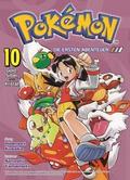 Pokémon - Die ersten Abenteuer 10