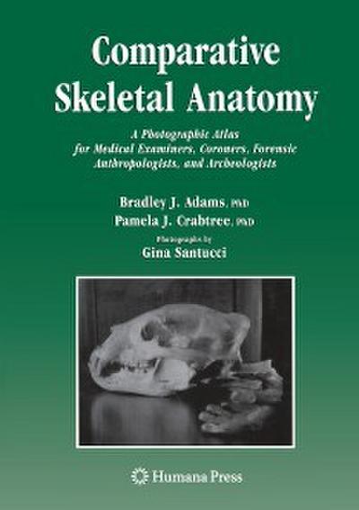 Comparative Skeletal Anatomy