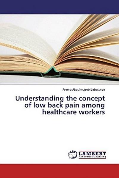 Understanding the concept of low back pain among healthcare workers