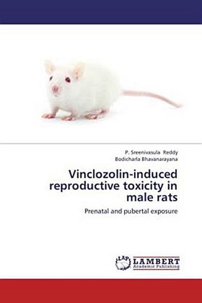 Vinclozolin-induced reproductive toxicity in male rats