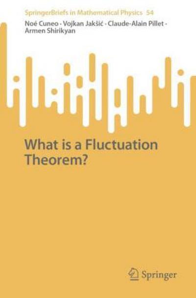 What is a Fluctuation Theorem?