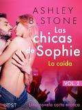 Las chicas de Sophie 2 - La caída - Una novela corta erótica