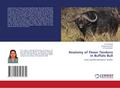 Anatomy of Flexor Tendons in Buffalo Bull