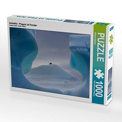 Antarktis - Pinguin im Fenster (Puzzle)