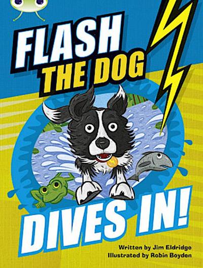Bug Club Independent Fiction Year 3 Brown B Flash the Dog Dives In!