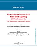 Professional Programming From the Beginning