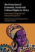 Protection of Economic, Social and Cultural Rights in Africa