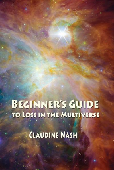 Beginner’s Guide to Loss in the Multiverse