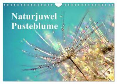 Naturjuwel Pusteblume (Wandkalender 2026 DIN A4 quer), CALVENDO Monatskalender