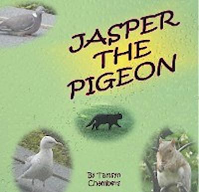 Jasper The Pigeon