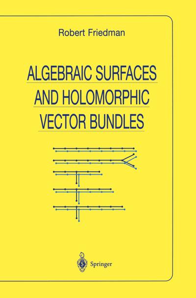 Algebraic Surfaces and Holomorphic Vector Bundles