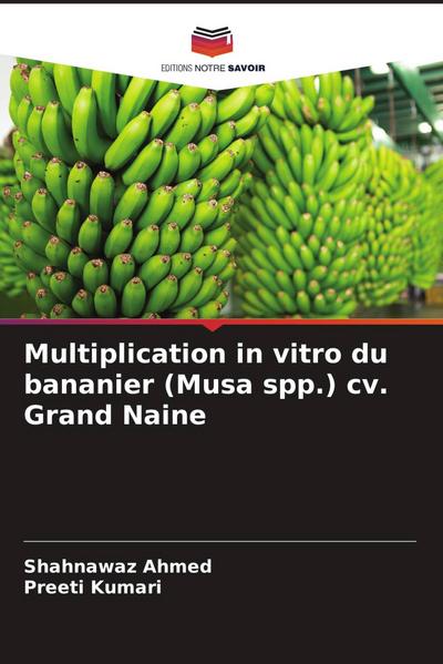 Multiplication in vitro du bananier (Musa spp.) cv. Grand Naine