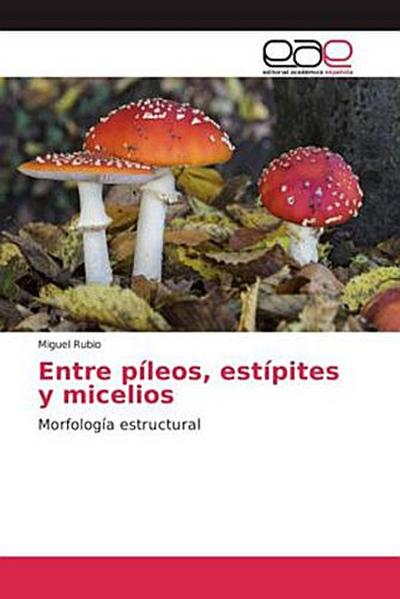 Entre píleos, estípites y micelios
