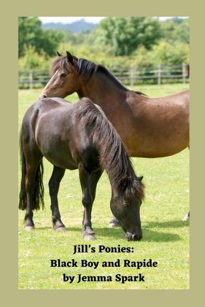 Jill’s Ponies