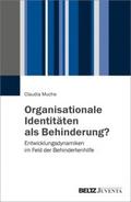Organisationale Identitäten als Behinderung?