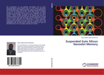 Suspended Gate Silicon Nanodot Memory