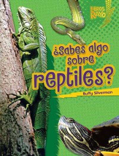 ¿Sabes algo sobre reptiles? (Do You Know about Reptiles?)