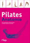 Pilates-Anatomie