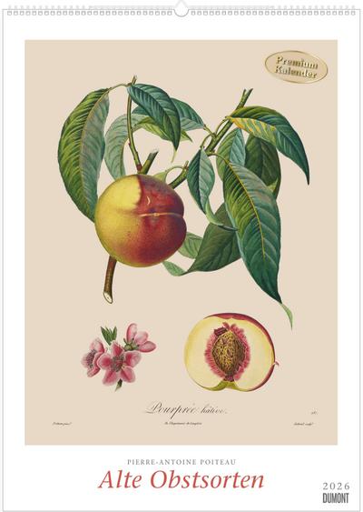 Pierre Antoine Poiteau: Alte Obstsorten 2026 - DUMONT Kunst-Kalender - Poster-Format 50 x 70 cm