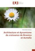 Architecture et dynamisme de croissance de Brassic
