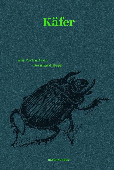 Kegel,Käfer