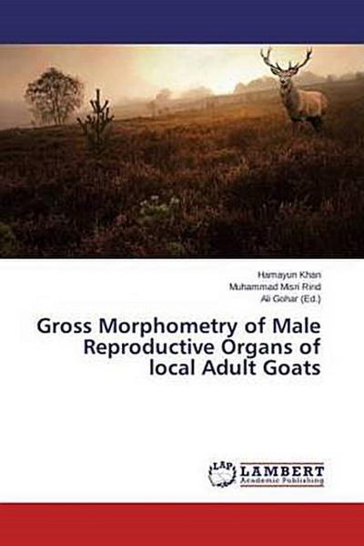 Gross Morphometry of Male Reproductive Organs of local Adult Goats