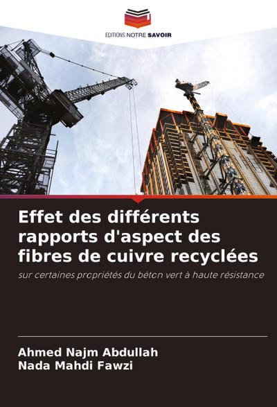 Effet des différents rapports d’aspect des fibres de cuivre recyclées