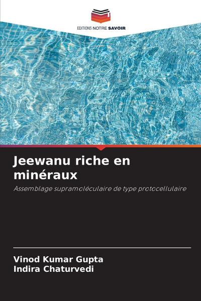 Jeewanu riche en minéraux