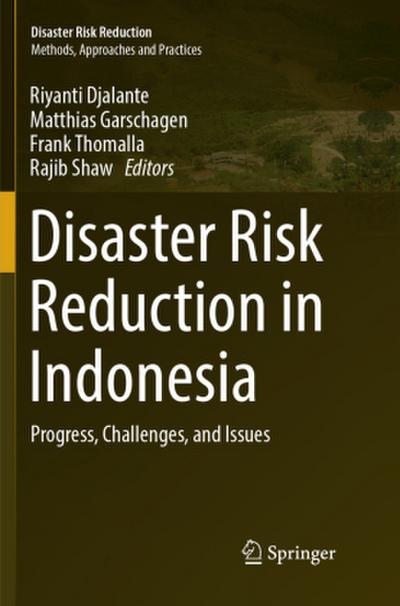Disaster Risk Reduction in Indonesia